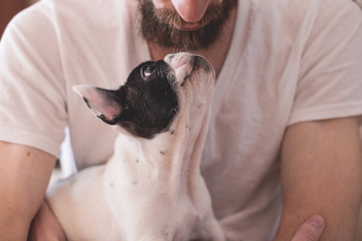 cucciolo innamorato del padrone