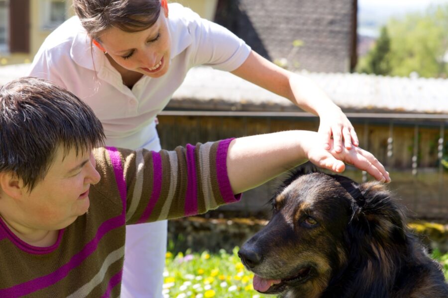 addestramento del cane