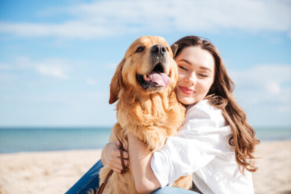 soluzioni per i cani che portano rancore