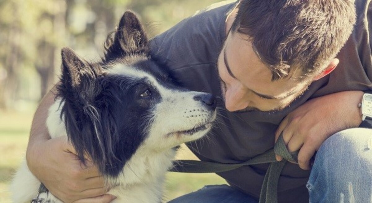 Come fa un cane a riconoscere i volti umani?