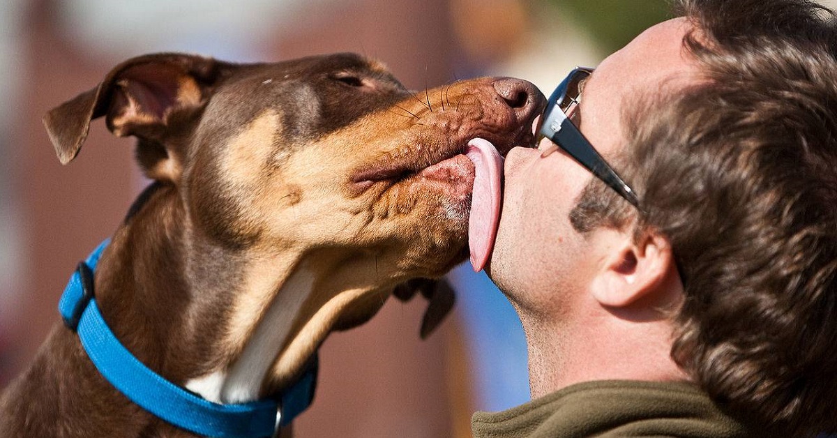 Come addestrare il cane a dare i baci