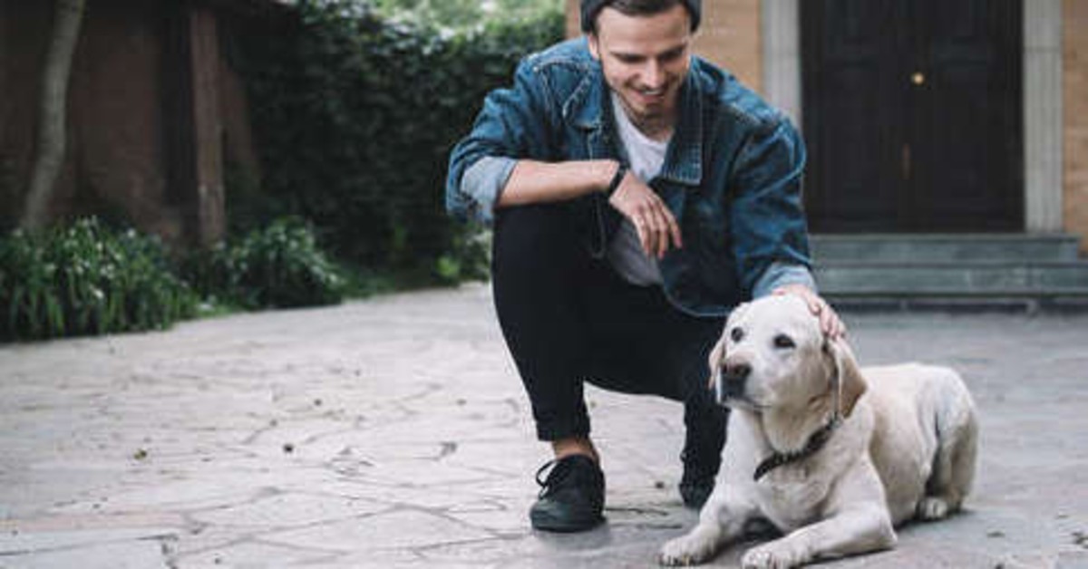 Perché il cane si siede di fronte a te sempre, anche se c’è tanto spazio?