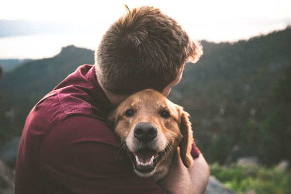 cose sorprendenti che il cane percepisce