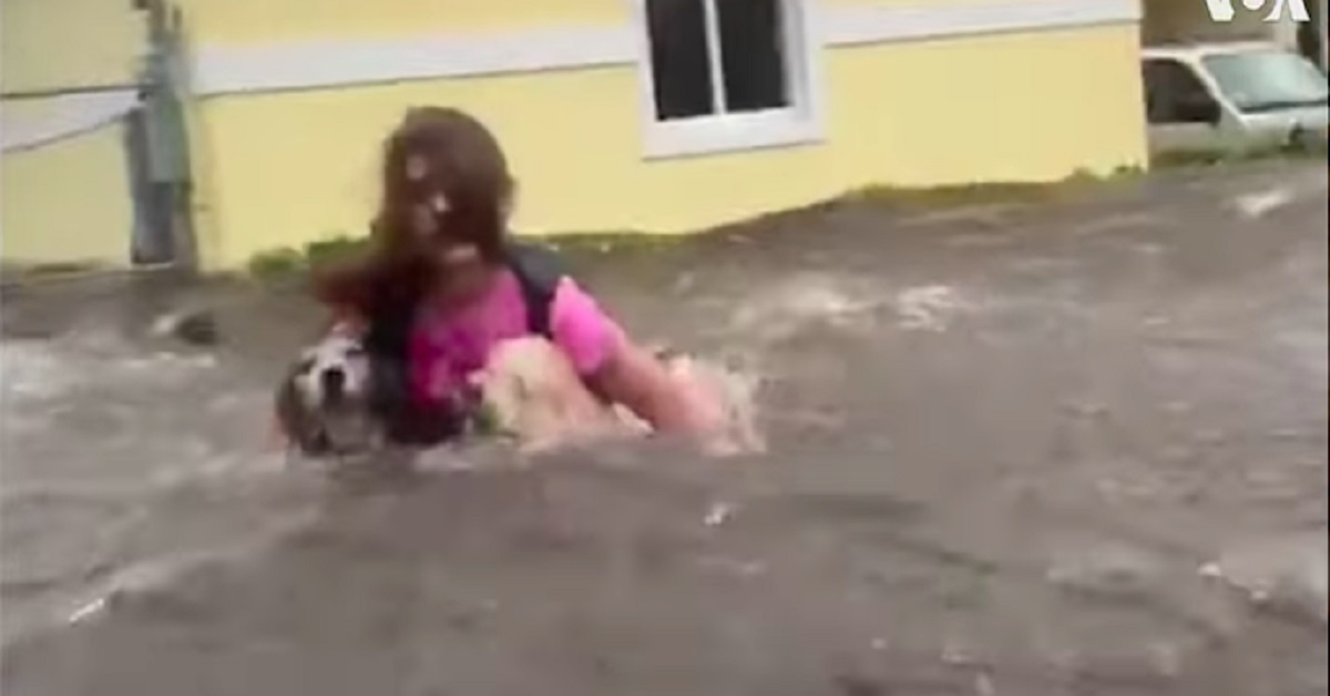 Cani salvati da una ragazza durante l’uragano Dorian