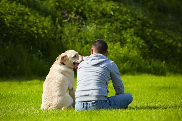 cane ama il padrone