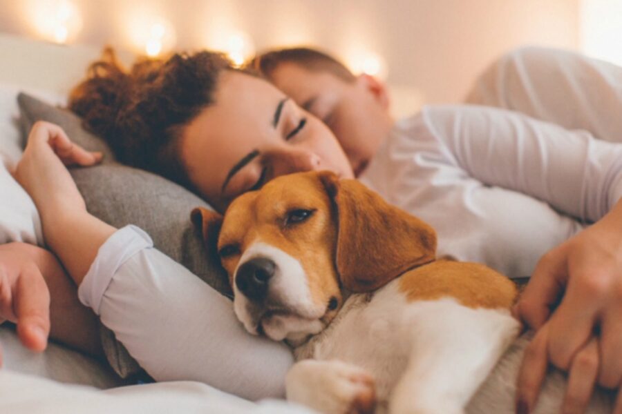 cane a letto con mamma e papà umani