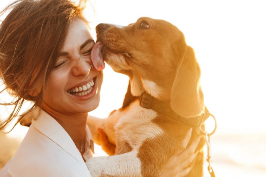 cane lecca in faccia ragazza