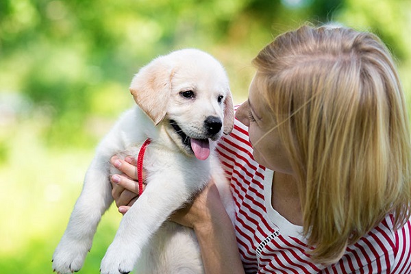 cucciolo di cane in braccio