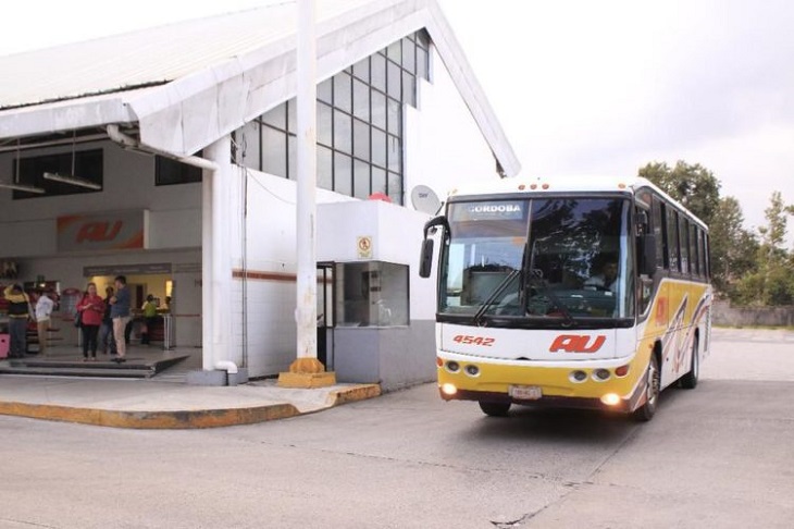 cucciolo-stazione-puebla