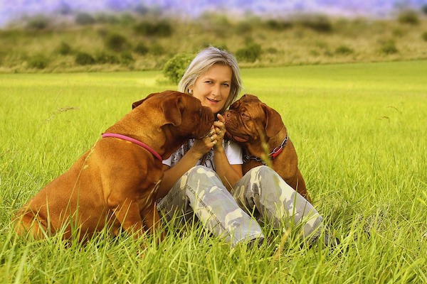 Cosa fare se si ha un cane di taglia grande