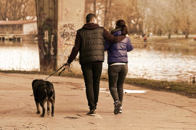 Insegnare al cane a camminarti al fianco, a destra o a sinistra