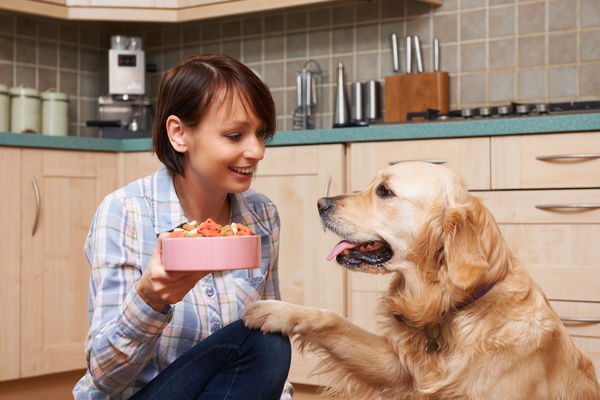 cane aspetta la pappa