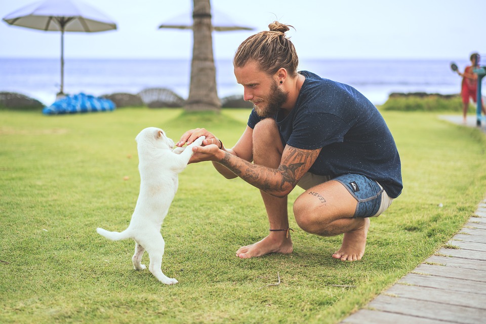 Il cane ha il segno zodiacale o l'astrologia è solo per gli umani?