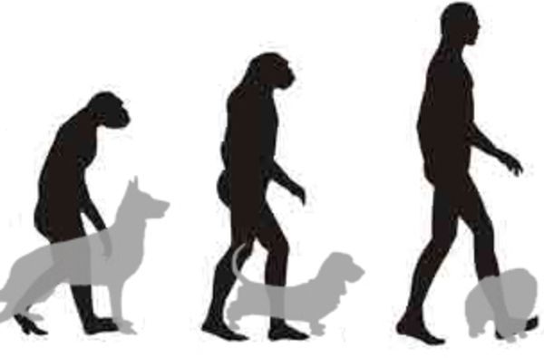 Evoluzione dell'uomo e del cane 