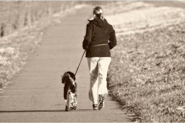 correre con il cane