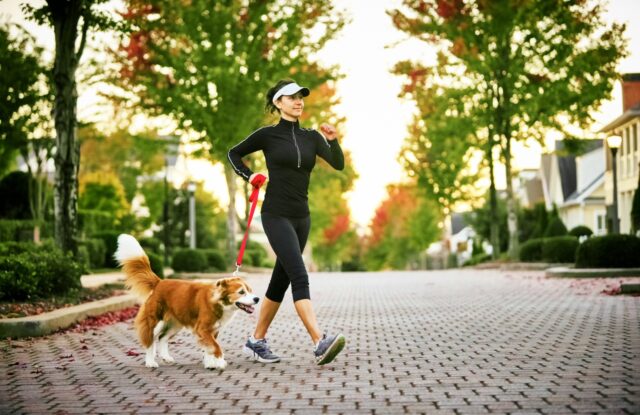 Come si fa a rimettere in forma il cane?