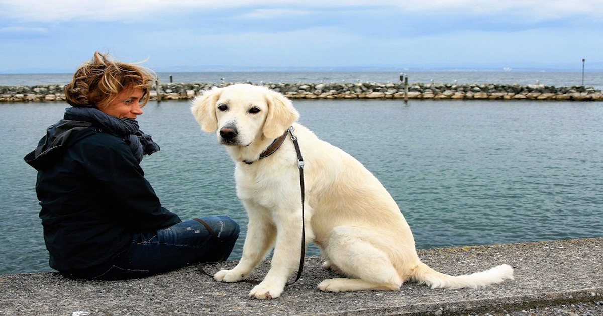 Il cucciolo di cane ci vede come i suoi genitori?