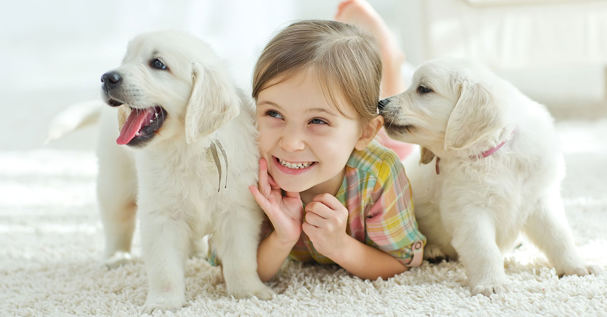 Addestramento cuccioli errori da non fare: eccone 13