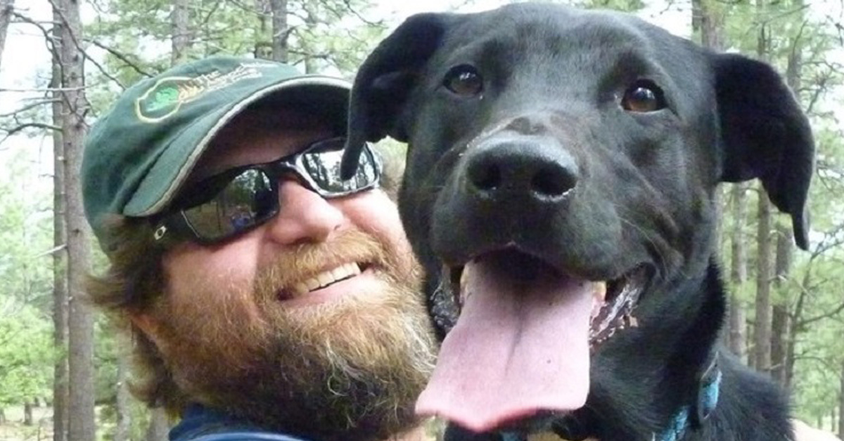 Marley, il cane che ha salvato un escursionista perso nel bosco