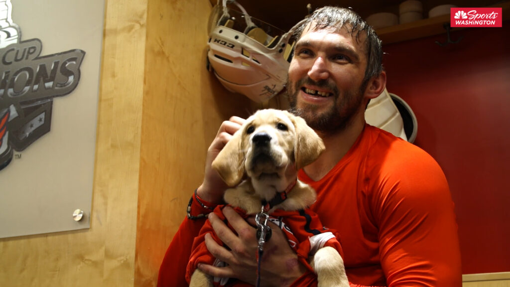 Cane Mascotte Hockey