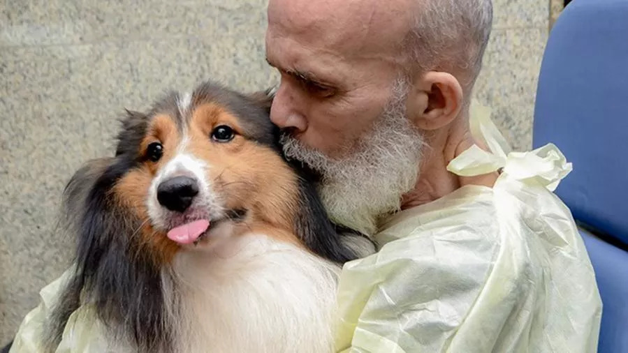 Cane-baciato-dal-proprietario