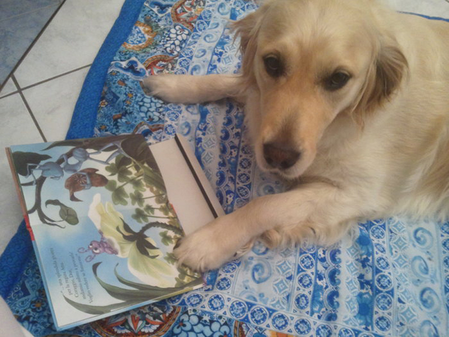 Cane con un libro