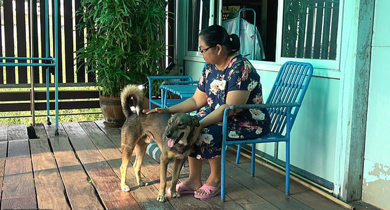 Cane con una donna