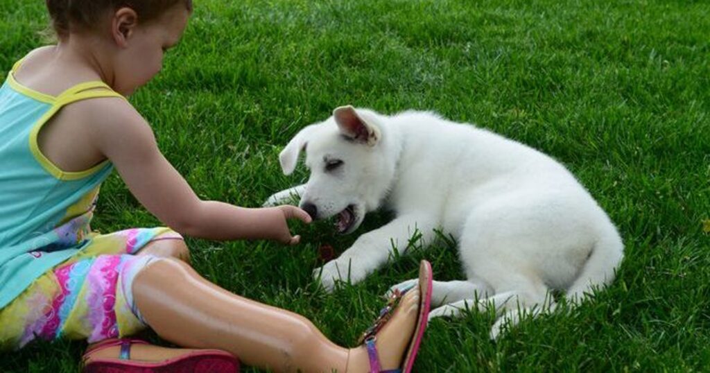 Cane e bambino che giocano