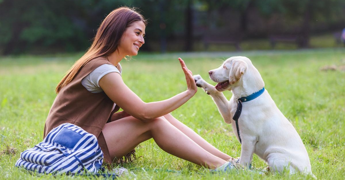 Cane e gerarchia umana: cosa sapere per insegnargli le regole giuste