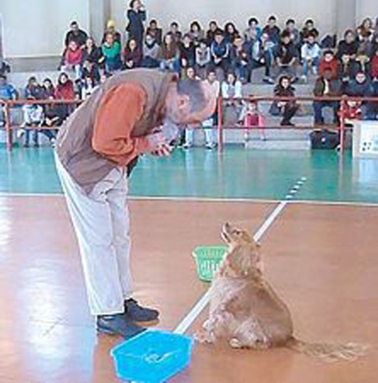 Cane seduto con il proprietario