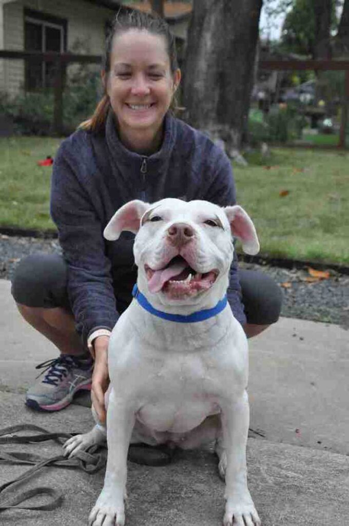 Cane seduto con una ragazza