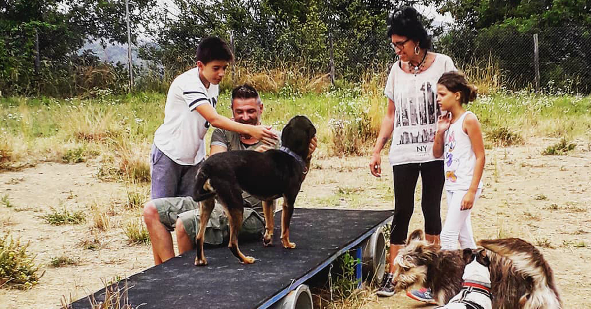 Il Dog Ranch di Sassello, il “parco canile” in cui i randagi aspettano l’adozione