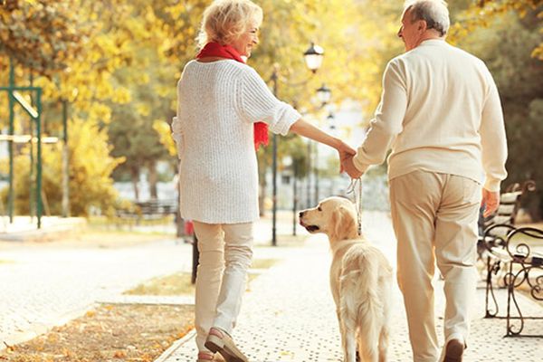 Come scegliere un cane per invecchiare insieme