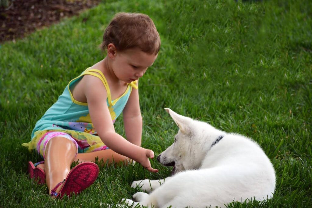 Il cane Dan con un bambino