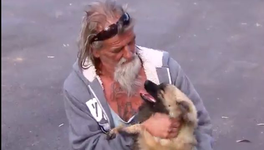 Il cane Gucci con il suo proprietario