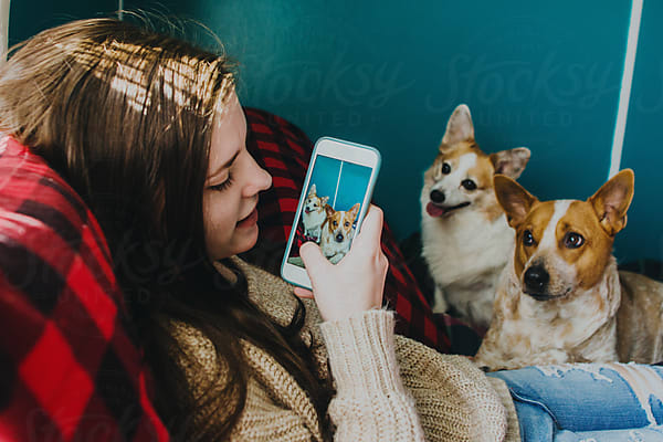 Insegnare al cane a non abbaiare al telefono