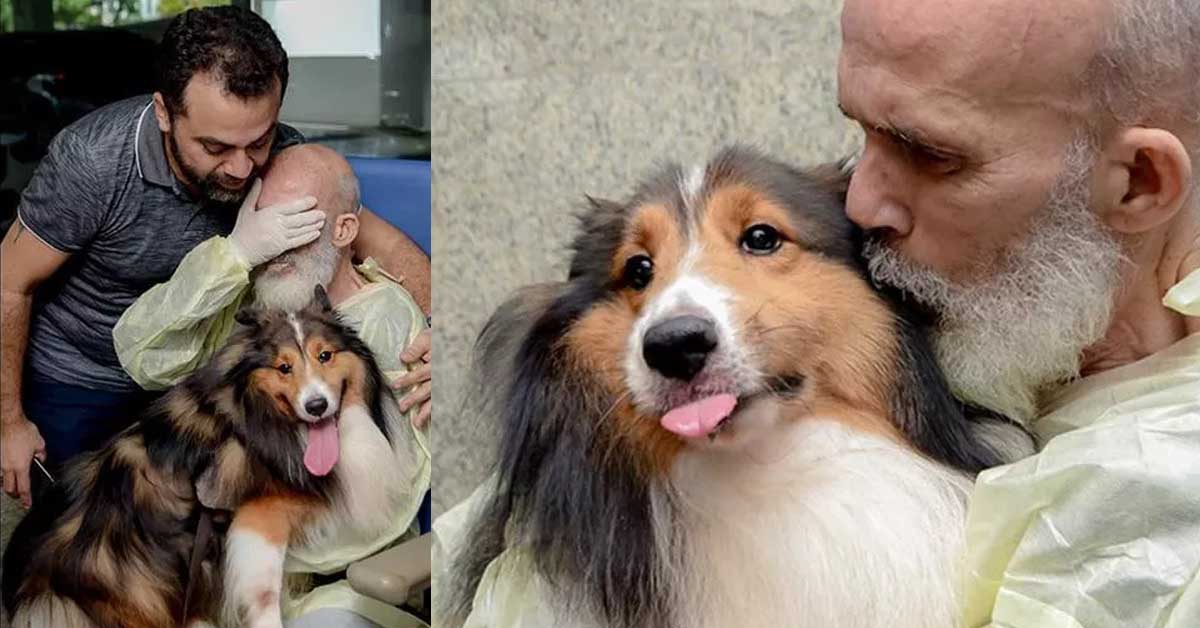 Agadir, il cane che ha aiutato il proprietario malato a stare meglio