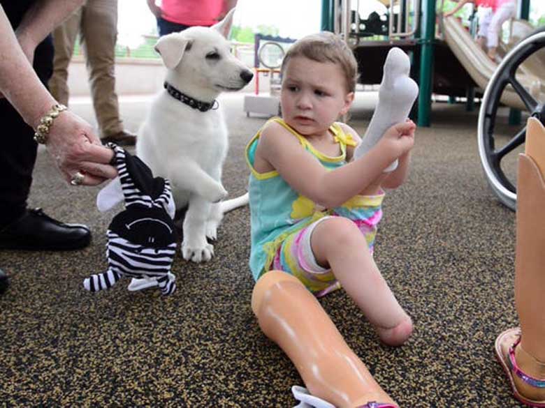 La storia del cane Dan