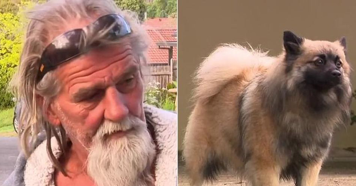 Gucci, il cane che ha salvato il suo proprietario da un incendio