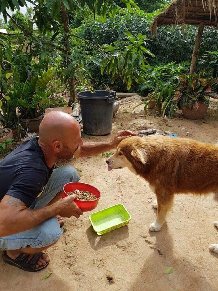 La vicenda del cane Tchimi