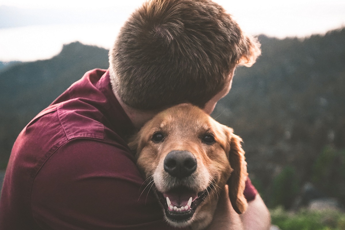 abbraccio al cane