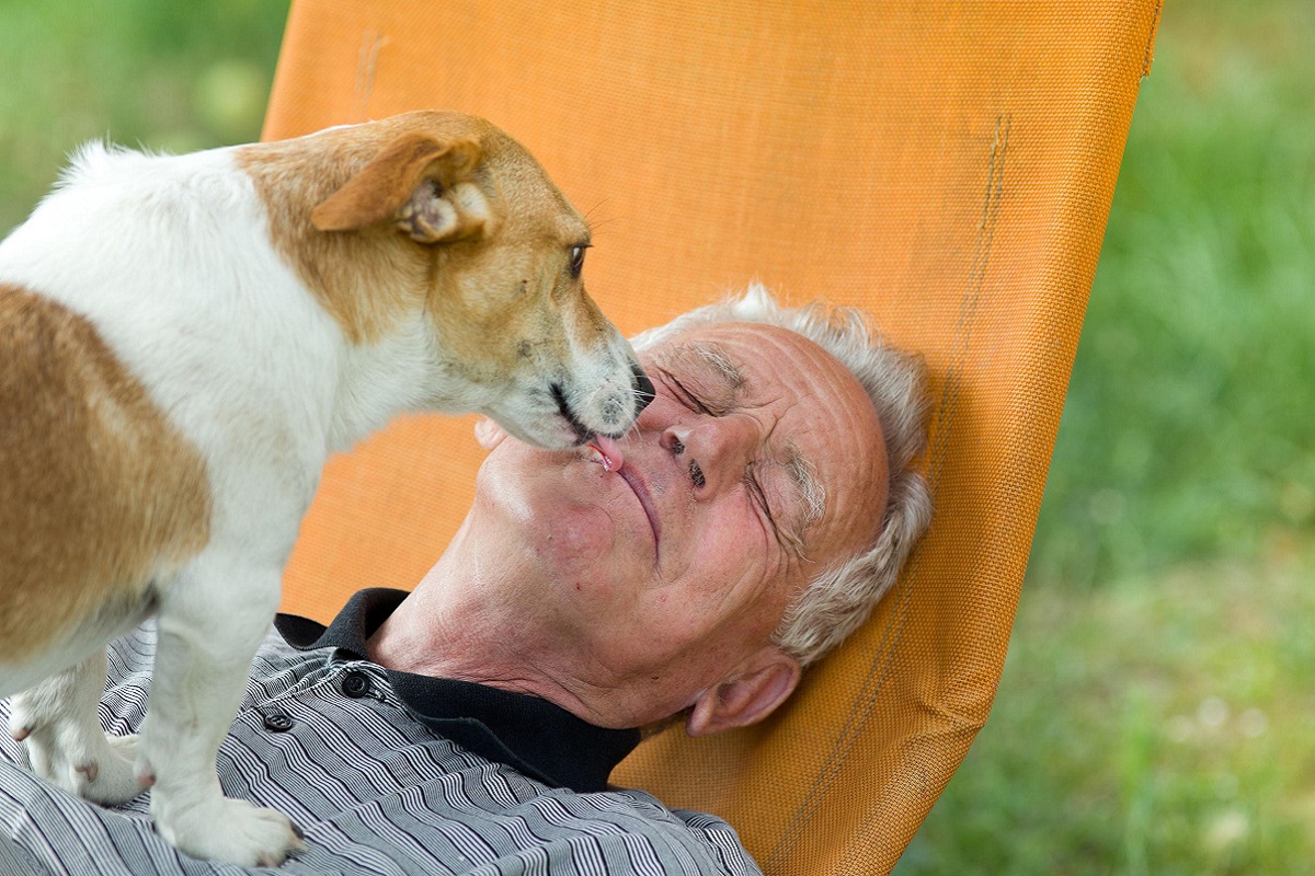 cane lecca anziano