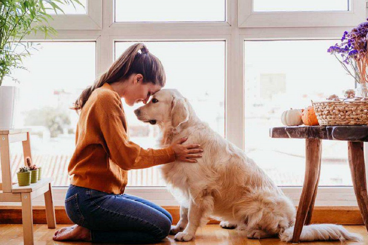 cane e ragazza testa contro testa