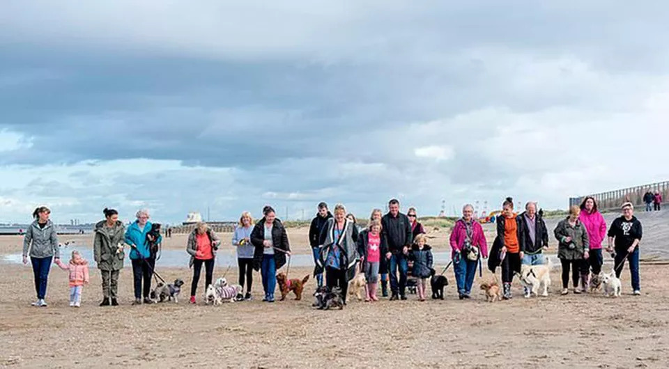 Persone-in-spiaggia-con-i-cani (1)