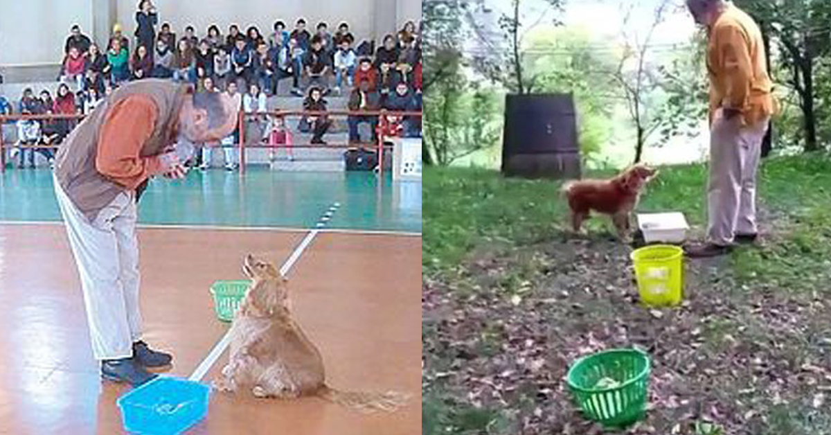 Lilli, il cane che sa fare la raccolta differenziata