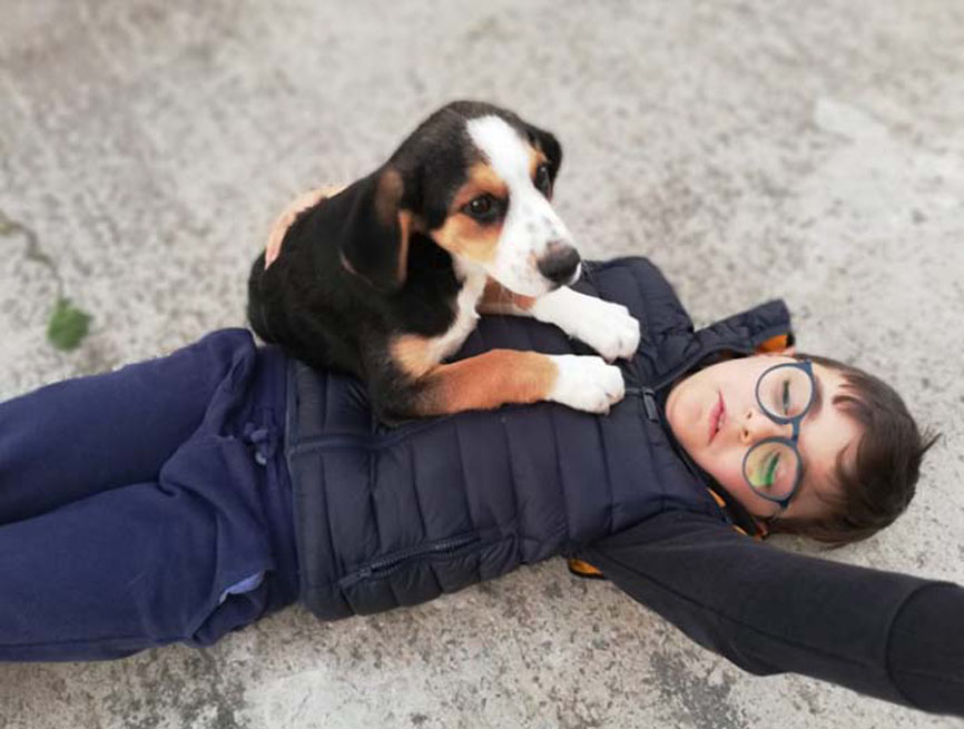 Un cane con il bambino Gabriele