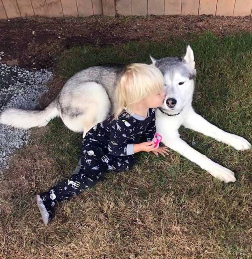 Un cane insieme ad una bambina