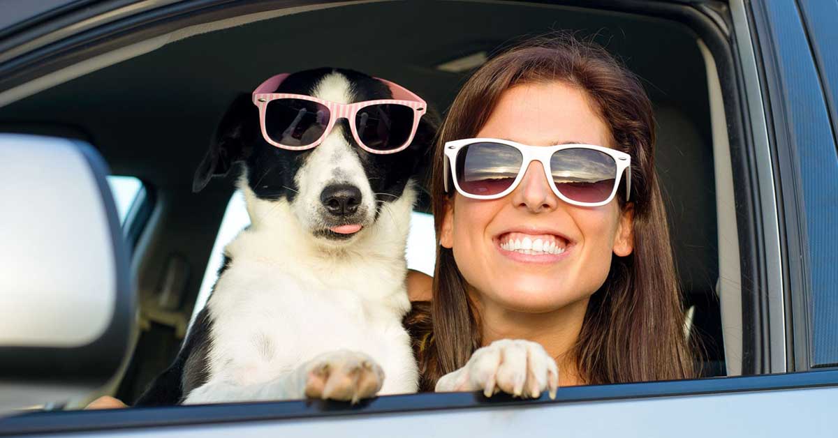Pagati per viaggiare con il cane: l’offerta di lavoro dog friendly