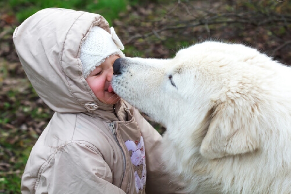 cane e bambino