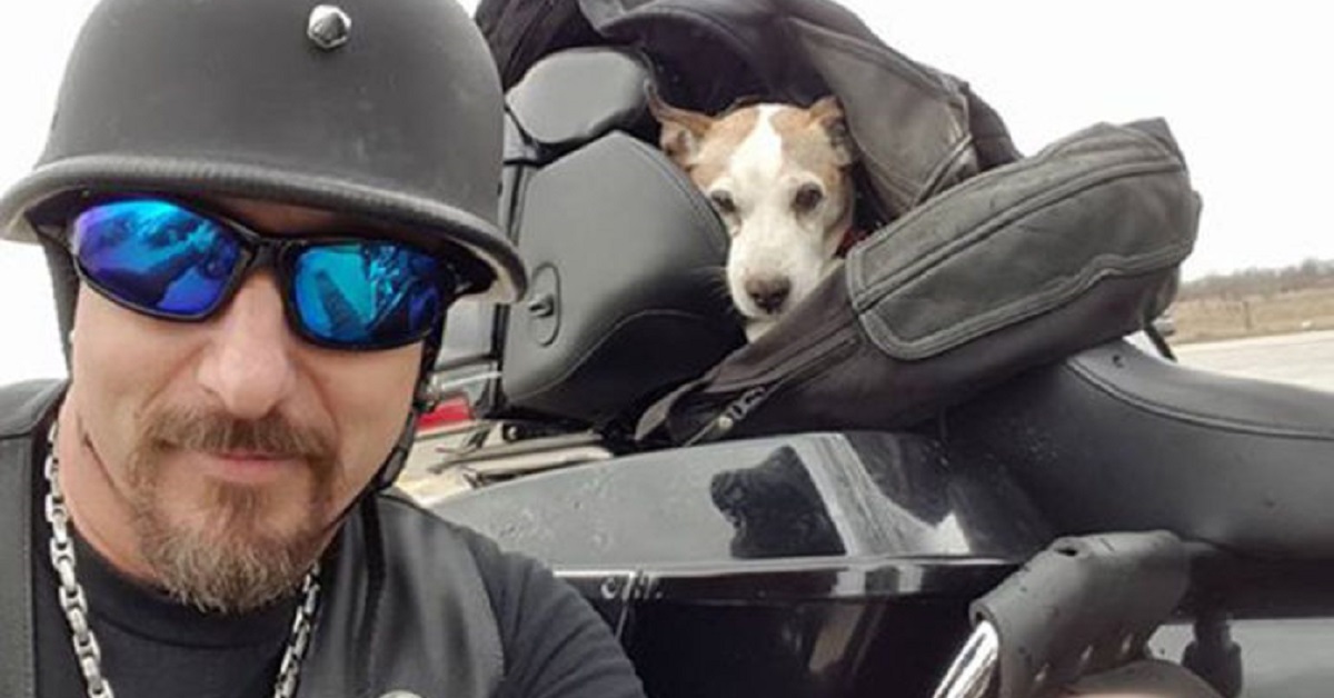 Cane abbandonato sul ciglio della strada viene salvato da un motociclista